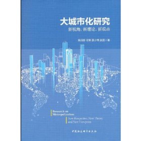 大城市化研究-（新视角、新理论、新观点）