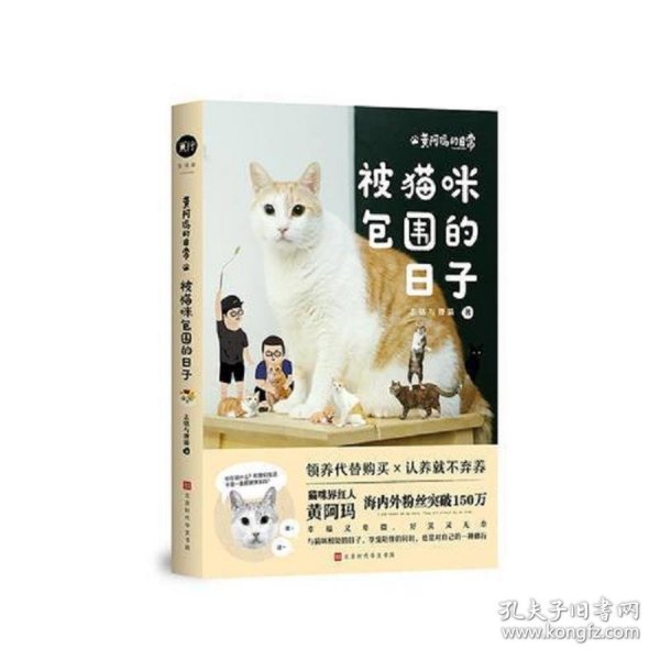 黄阿玛的日常:被猫咪包围的日子