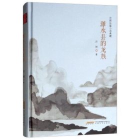 许辉长篇小说典藏：濉水县的龙族.精装(长篇小说)