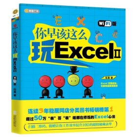 你早该这么玩Excel II （WiFi版）