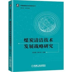 煤炭清洁技术发展战略研究