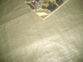 警坛联韵:金盾杯全国有奖征联佳联荟萃