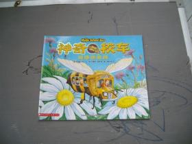 神奇校车-奇妙的蜂巢