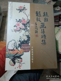 赵维赵毅画集续集:一版一印仅印2000册【8开精装/未拆封新书 】