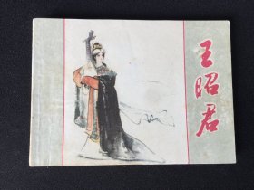 ▇▆▅▃▂▁王昭君▁▂▃▅▆▇【封底浅灰色圆点是相机镜头导致】V8PJY1094