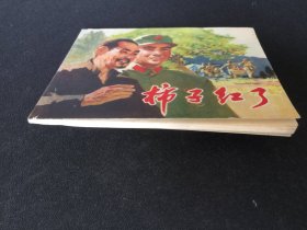 ▇▆▅▃▂▁柿子红了▁▂▃▅▆▇【封底浅灰色圆点是相机镜头导致】7WQ1138