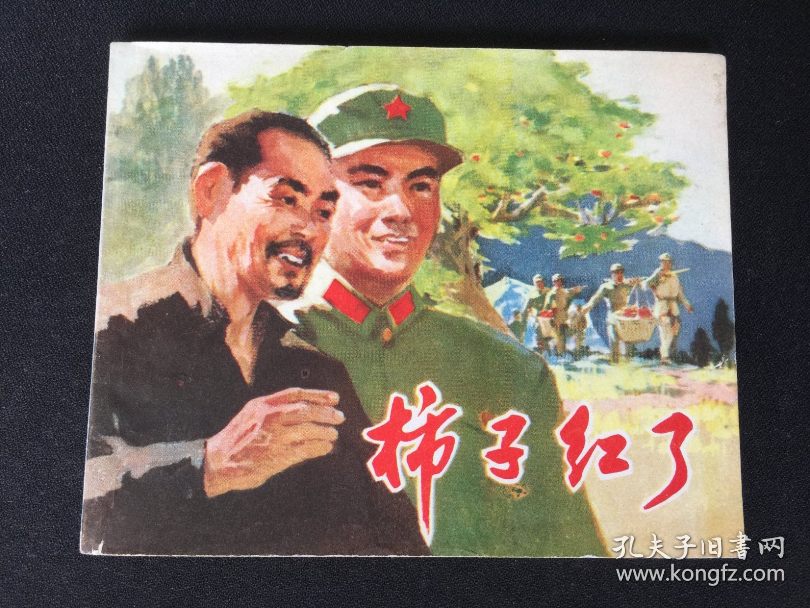 ▇▆▅▃▂▁柿子红了▁▂▃▅▆▇【封底浅灰色圆点是相机镜头导致】7WQ1138