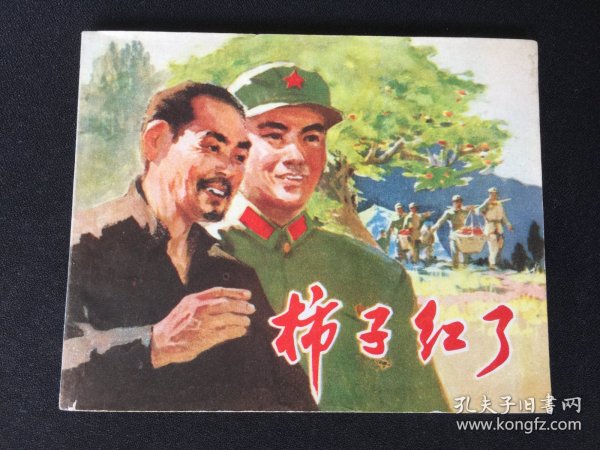 ▇▆▅▃▂▁柿子红了▁▂▃▅▆▇【封底浅灰色圆点是相机镜头导致】7WQ1138