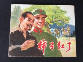 ▇▆▅▃▂▁柿子红了▁▂▃▅▆▇【封底浅灰色圆点是相机镜头导致】7WQ1138