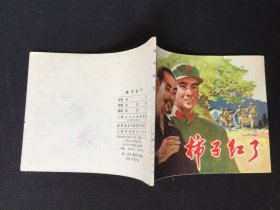 ▇▆▅▃▂▁柿子红了▁▂▃▅▆▇【封底浅灰色圆点是相机镜头导致】7WQ1138