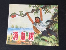 ▇▆▅▃▂▁消息树▁▂▃▅▆▇【封底浅灰色圆点是相机镜头导致】GY1Q1574
