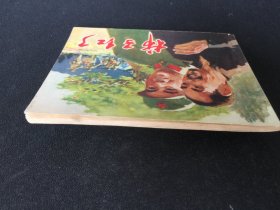 ▇▆▅▃▂▁柿子红了▁▂▃▅▆▇【封底浅灰色圆点是相机镜头导致】7WQ1138