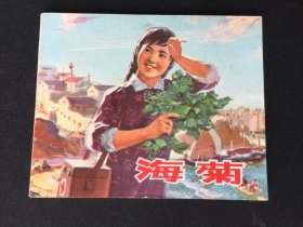 ▇▆▅▃▂▁海菊▁▂▃▅▆▇【封底浅灰色圆点是相机镜头导致】G3WCC133