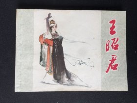 ▇▆▅▃▂▁王昭君▁▂▃▅▆▇【封底浅灰色圆点是相机镜头导致】5WQ1738