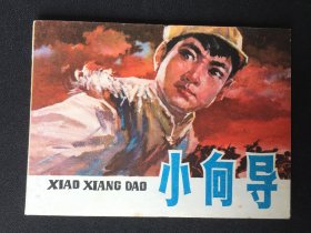 ▇▆▅▃▂▁小向导▁▂▃▅▆▇【封底浅灰色圆点是相机镜头导致】V4WQ1079