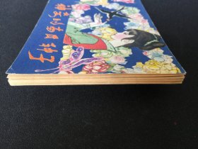▇▆▅▃▂▁神奇的南瓜种子▁▂▃▅▆▇【封底浅灰色圆点是相机镜头导致】G3WCC205