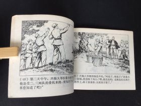 ▇▆▅▃▂▁柿子红了▁▂▃▅▆▇【封底浅灰色圆点是相机镜头导致】7WQ1138