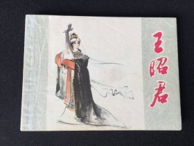 ▇▆▅▃▂▁王昭君▁▂▃▅▆▇【封底浅灰色圆点是相机镜头导致】6WQ5149