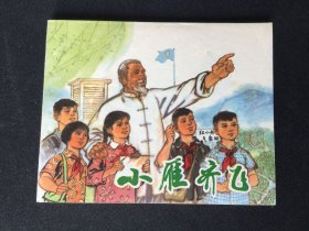 ▇▆▅▃▂▁小雁齐飞▁▂▃▅▆▇【封底浅灰色圆点是相机镜头导致】Y1Q4473
