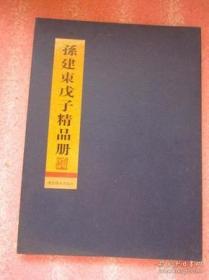 孙建东戊子精品册 16开精折装  （折叠版）