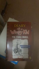 Diary of a Wimpy Kid（the third wheel）