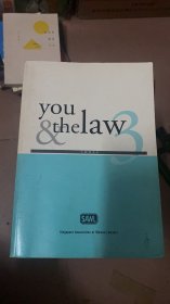 you the law 3