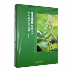 全新正版图书 中国东北特种大豆育成品种系谱图解白艳凤黑龙江科学技术出版社9787571916749【书内有轻微划线】