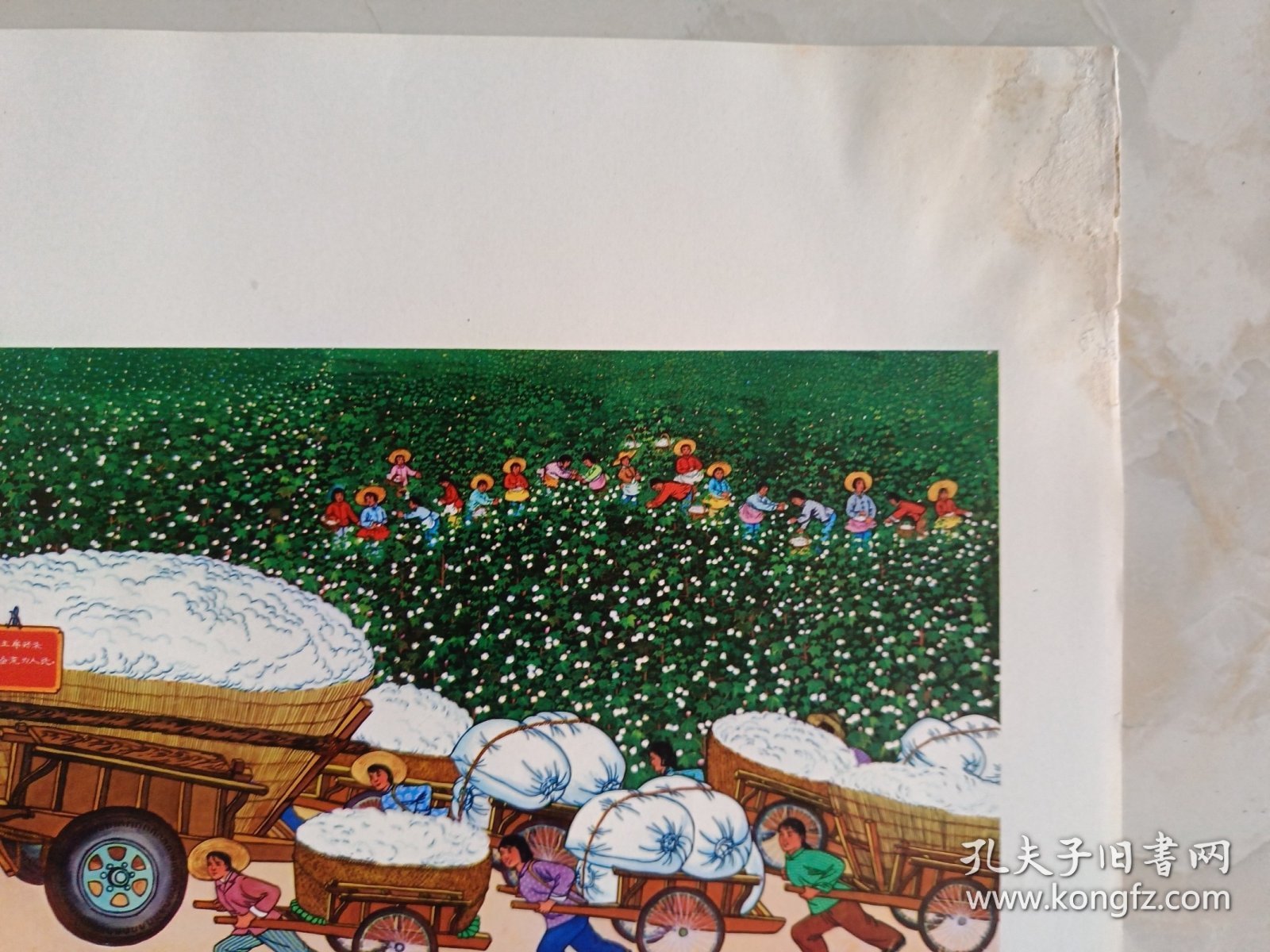 喜搞新棉（年画）尺寸：38*32CM 1张