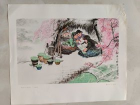细雨育新苗（中国画）尺寸：38*32CM 1张