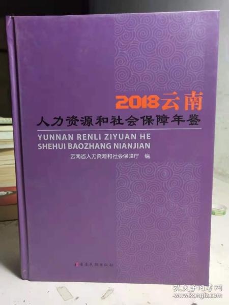 2018云南人力资源和社会保障年鉴