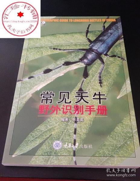 常见天牛野外识别手册 林美英 天牛爱好者初级读物 科普读物书籍 生物世界 重庆大学出版社