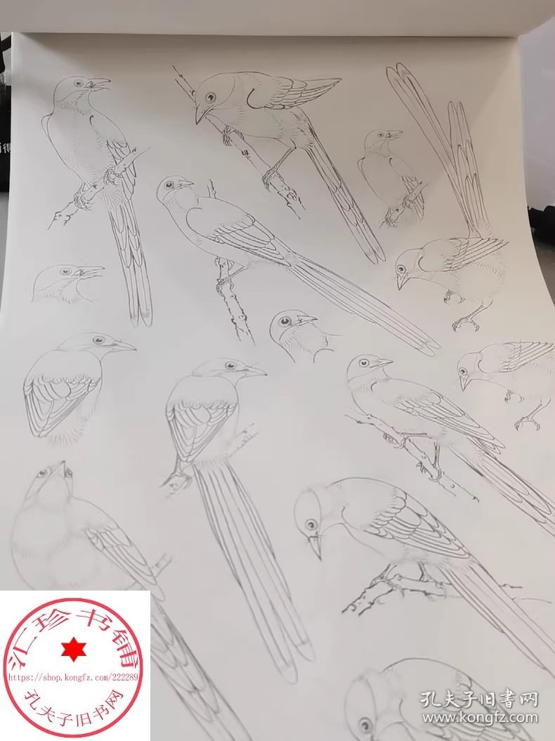 中国画白描