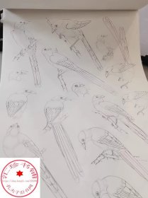 中国画白描