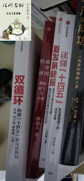 双循环构建十四五新发展格局双循环与我们的关系樊纲作品国家高端智库出品政府和企业推荐读本