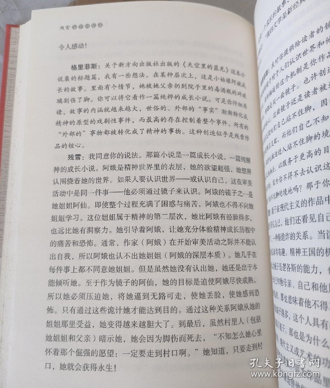 残雪文学回忆录