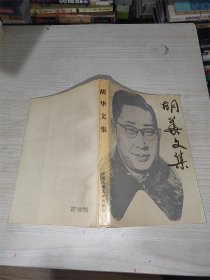 胡华文集