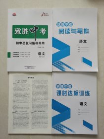 跨越2024突破自我 跨越新生 致胜中考 （语文） 积累与运用  初中总复习指导用书  刘翠梅主编  山东书画出版让  全新未使用