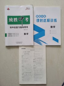 跨越2024突破自我 跨越新生 致胜中考 （数学） 初中总复习指导用书  刘翠梅主编  山东书画出版让