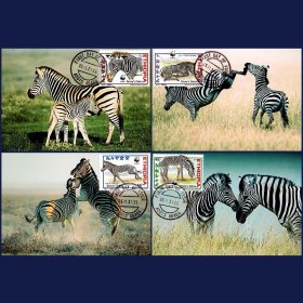 埃塞俄比亚斑马邮票明信片极限片外国保护野生动物邮票极限片4全