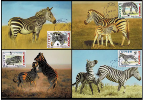 埃塞俄比亚斑马邮票明信片极限片外国保护野生动物邮票极限片 4全