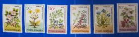 【罗马尼亚邮票1993年植物花卉6全】
