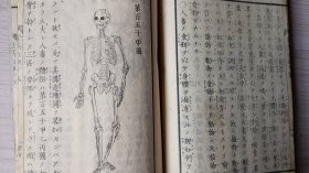 线装和刻本《登高自卑》   明治五年   公元1872年   分为；植物说    动物说     超多版画，刻印精美，人类身体图，动植物图等。