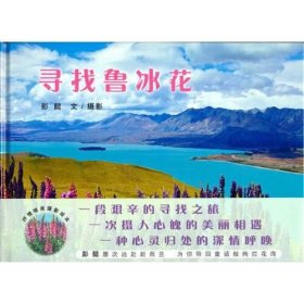 9787558327346 （精装绘本）蒲蒲兰绘本馆：寻找鲁冰花 48 新世纪 彭懿（2021）第004545 I 文学 2021-05-01 16开 B241-4