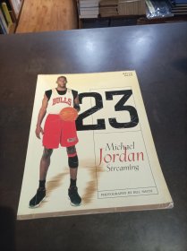 MICHAEL JORDAN STREAMING