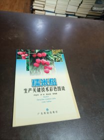 糯米糍生产关键技术彩色图说