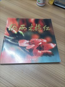 风雨木棉红