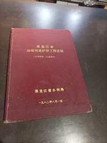 黑龙江省边境河流护岸工程总结