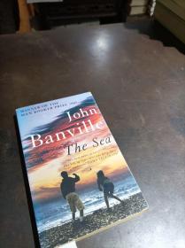 john banville the sea
