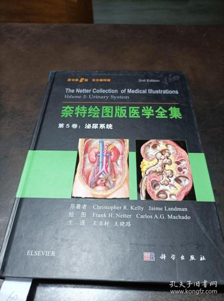 奈特绘图版医学全集 第5卷：泌尿系统