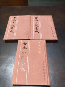 古本小说集成：禅真後史（布面精装、上中下3册全）